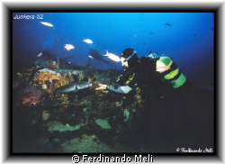 A big Conger conger in the wrecks of a aircraft Junkers-5... by Ferdinando Meli 